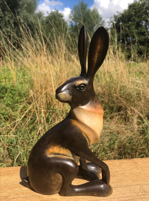 Sitting Hare II