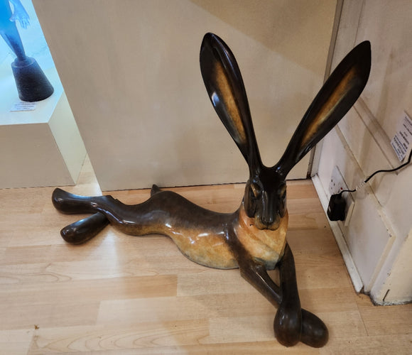 Large lying hare