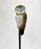 Sitting Barn Owl