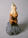 Miniature stargazer
