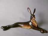 Lying Hare study