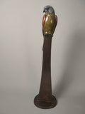 Kestrel