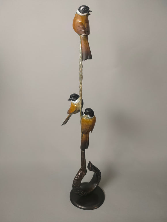 Reed Buntings