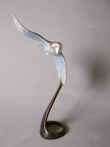 Barn owl in flight