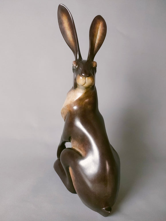 Medium sitting hare