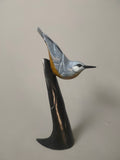 Nuthatch 2