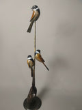 Reed Buntings