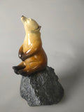 Miniature stargazer