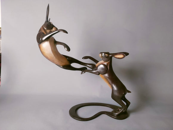 Boxing Hares study