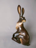 Medium sitting hare