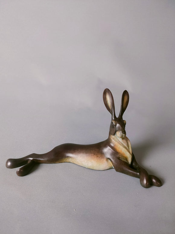 Lying Hare study