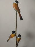 Reed Buntings
