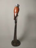 Kestrel