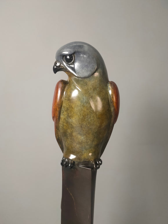 Kestrel