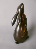 Medium monngazer hare