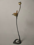 Wren on a poppy