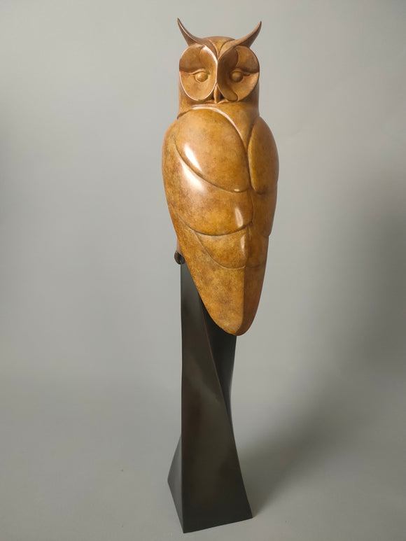 Long eared owl study
