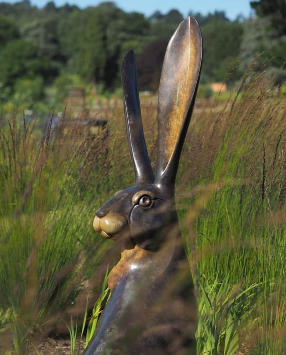 Giant Sitting Hare