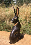 Sitting Hare