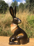 Sitting Hare