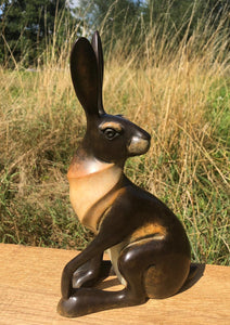 Sitting Hare