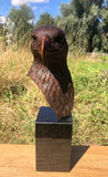 Eagle Bust- Feathered
