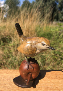Wren On A Bronze Apple