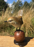 Wren On A Bronze Apple