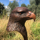 Eagle Bust- Feathered