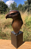 Eagle Bust - Smooth