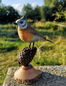 Crested Tit