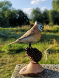 Crested Tit