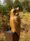 Small Long Eared Owl