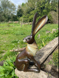 Sitting Hare